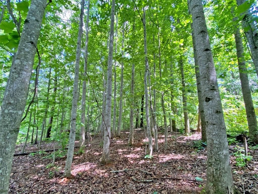unimproved land for sale at 39.2ac Falling Pines Road, Dahlonega, GA 30533