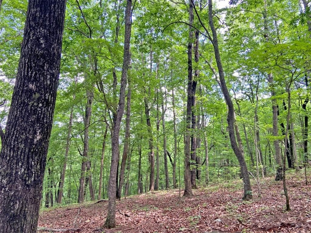 unimproved land for sale at 39.2ac Falling Pines Road, Dahlonega, GA 30533 — photo 2