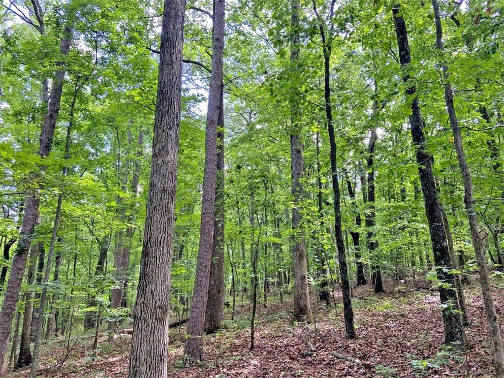 unimproved land for sale at 39.2ac Falling Pines Road, Dahlonega, GA 30533 — photo 3