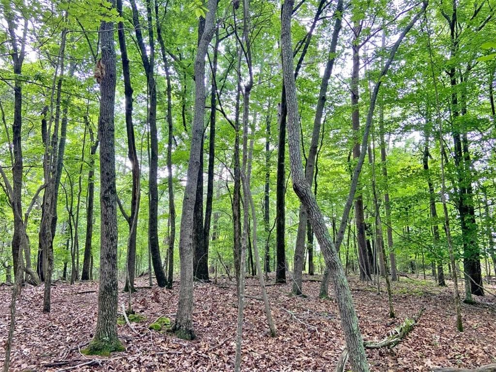 unimproved land for sale at 39.2ac Falling Pines Road, Dahlonega, GA 30533 — photo 4
