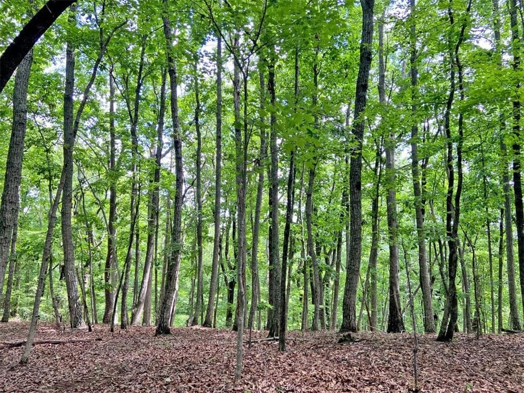 unimproved land for sale at 39.2ac Falling Pines Road, Dahlonega, GA 30533 — photo 6