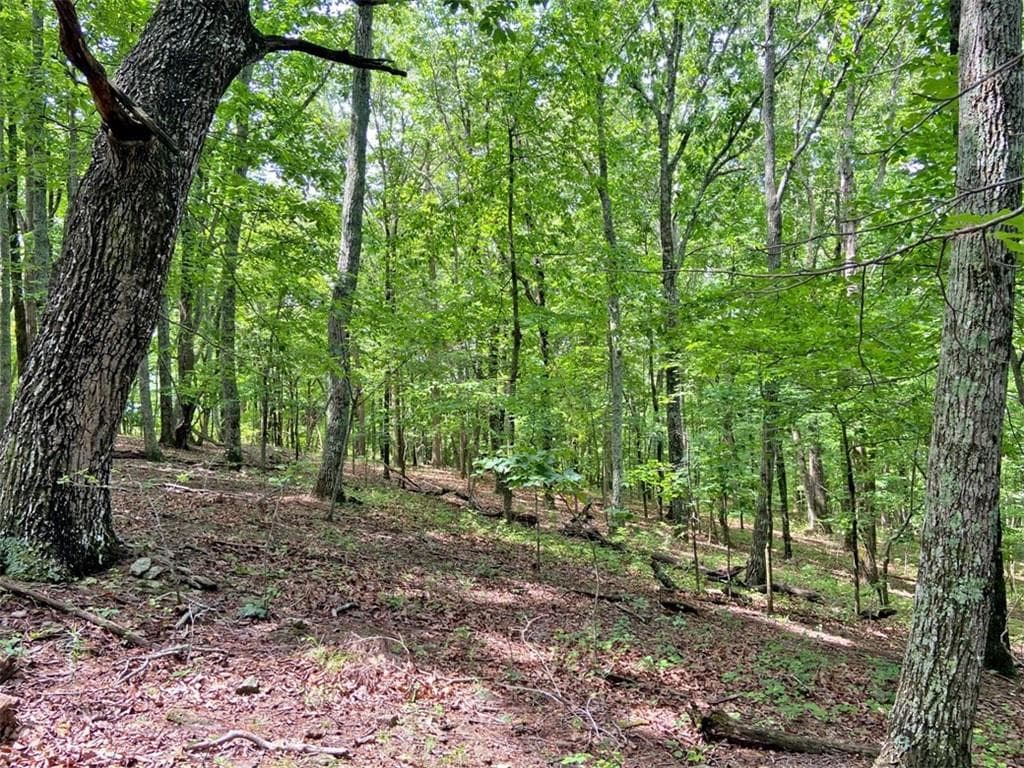 unimproved land for sale at 39.2ac Falling Pines Road, Dahlonega, GA 30533 — photo 8