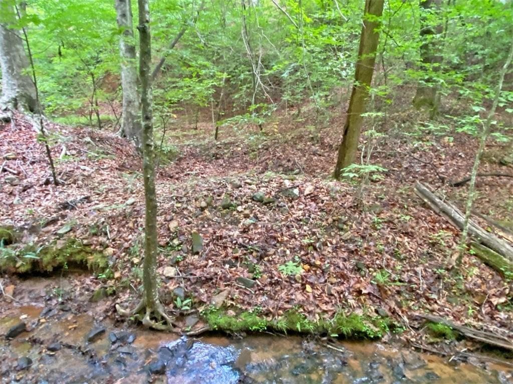unimproved land for sale at 39.2ac Falling Pines Road, Dahlonega, GA 30533 — photo 9