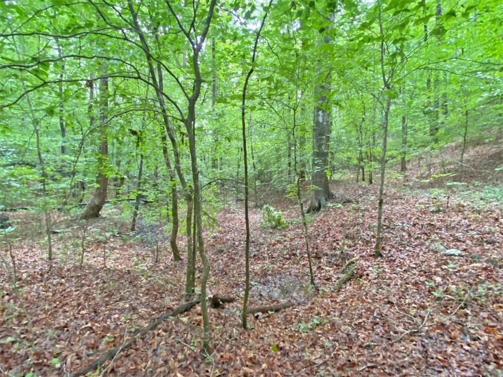 unimproved land for sale at 39.2ac Falling Pines Road, Dahlonega, GA 30533 — photo 10