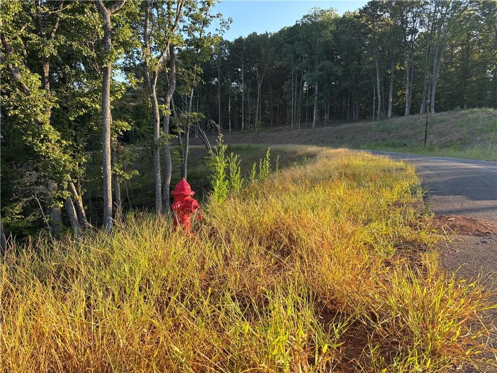 single family residence for sale at Lot 18 Norton Lane, Dahlonega, GA 30533 — photo 8