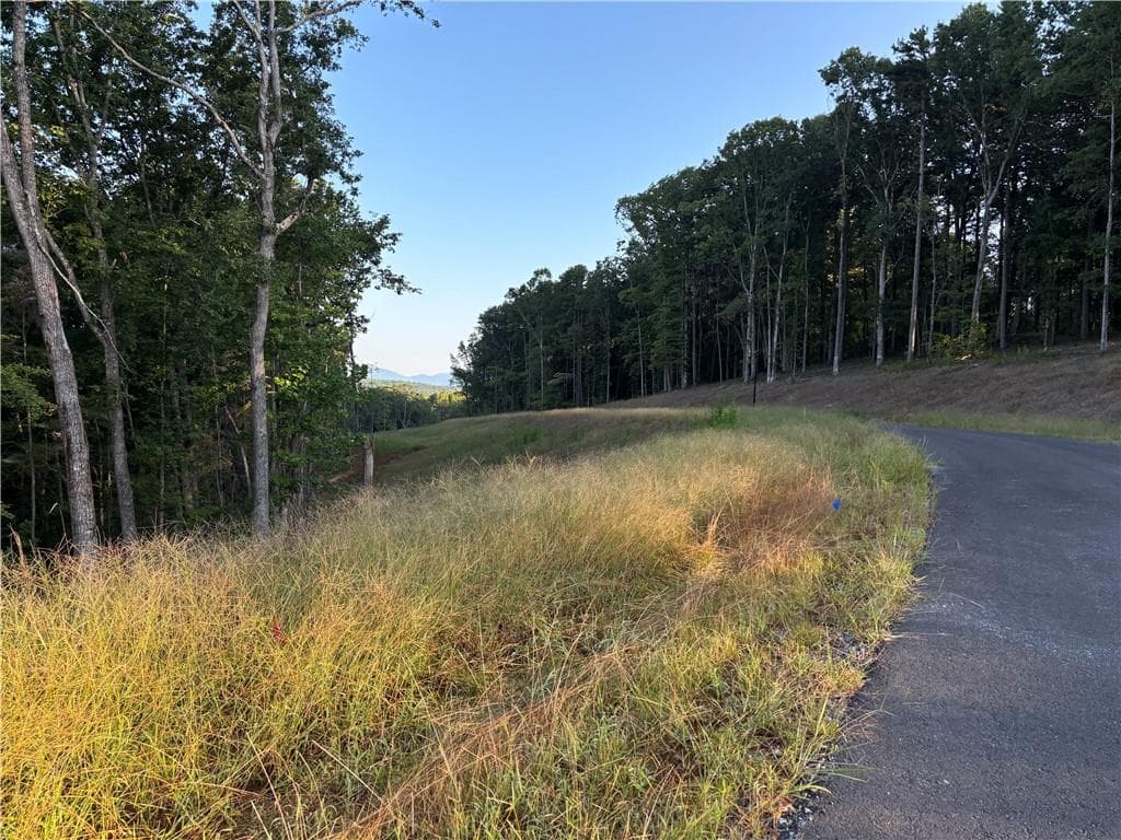 single family residence for sale at Lot 18 Norton Lane, Dahlonega, GA 30533 — photo 9