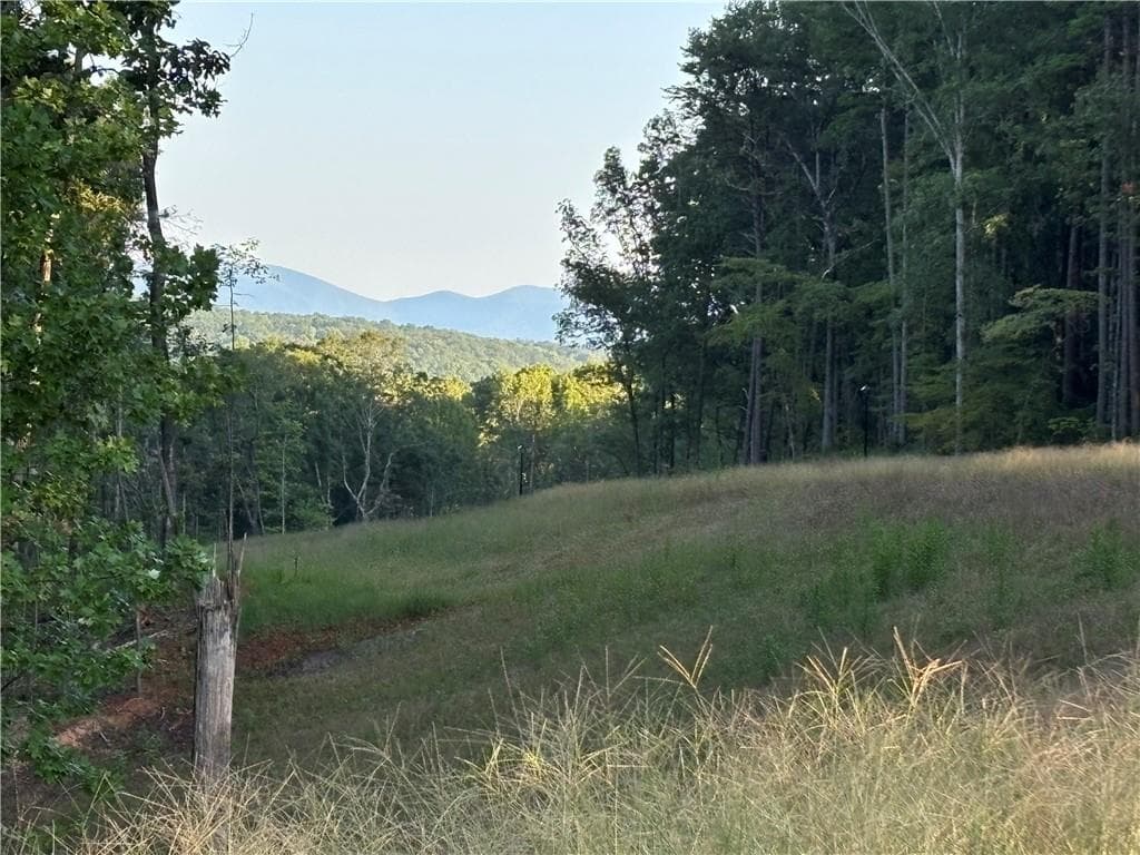 single family residence for sale at Lot 18 Norton Lane, Dahlonega, GA 30533 — photo 10
