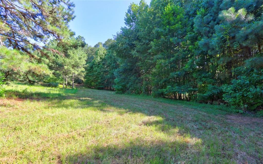 unimproved land for sale at 0 New Hope Church Road, Loganville, GA 30052 — photo 3