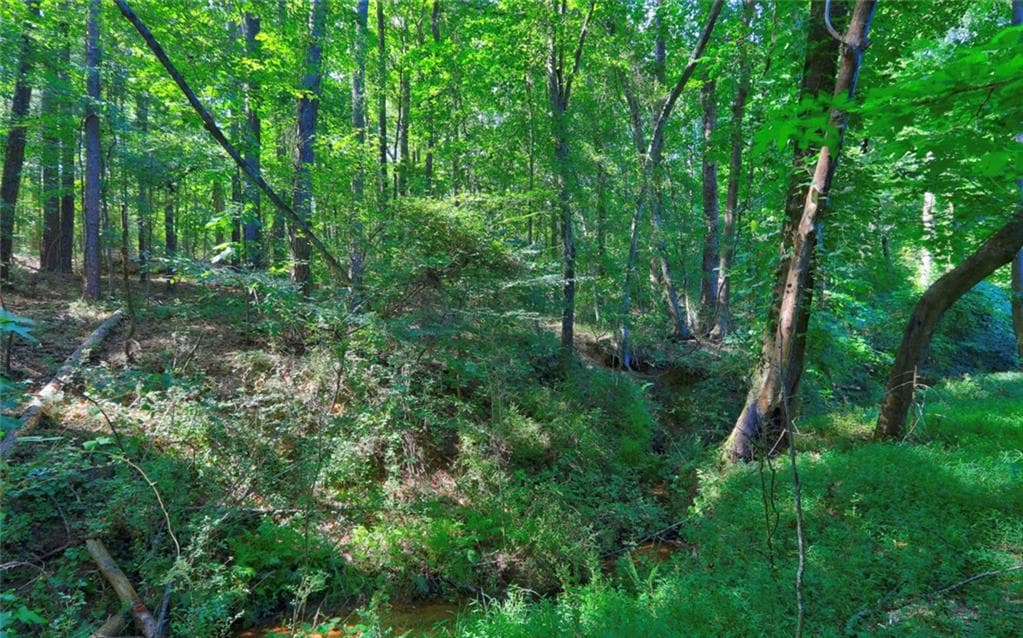 unimproved land for sale at 0 New Hope Church Road, Loganville, GA 30052 — photo 4