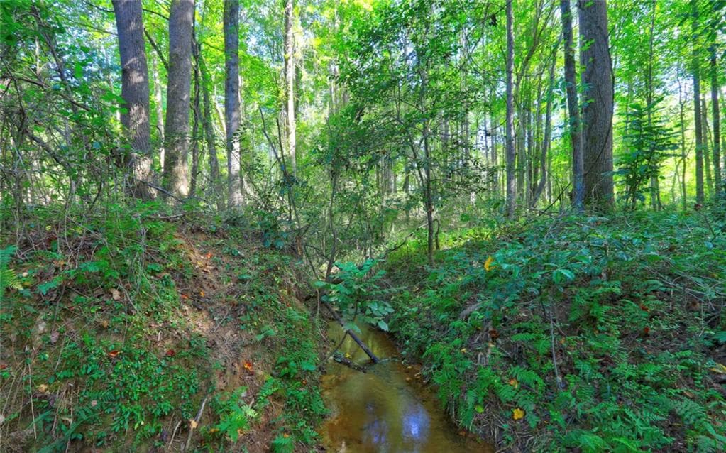 unimproved land for sale at 0 New Hope Church Road, Loganville, GA 30052 — photo 5