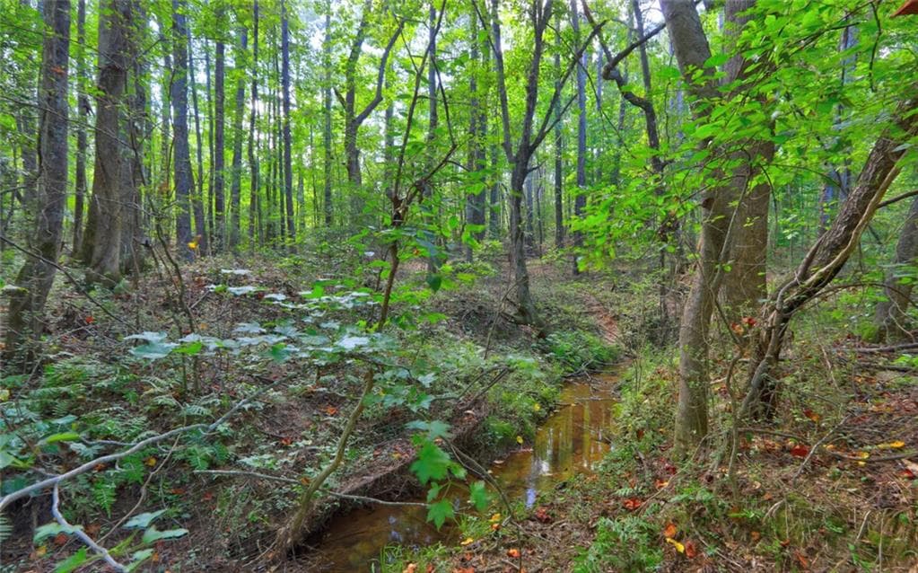 unimproved land for sale at 0 New Hope Church Road, Loganville, GA 30052 — photo 6