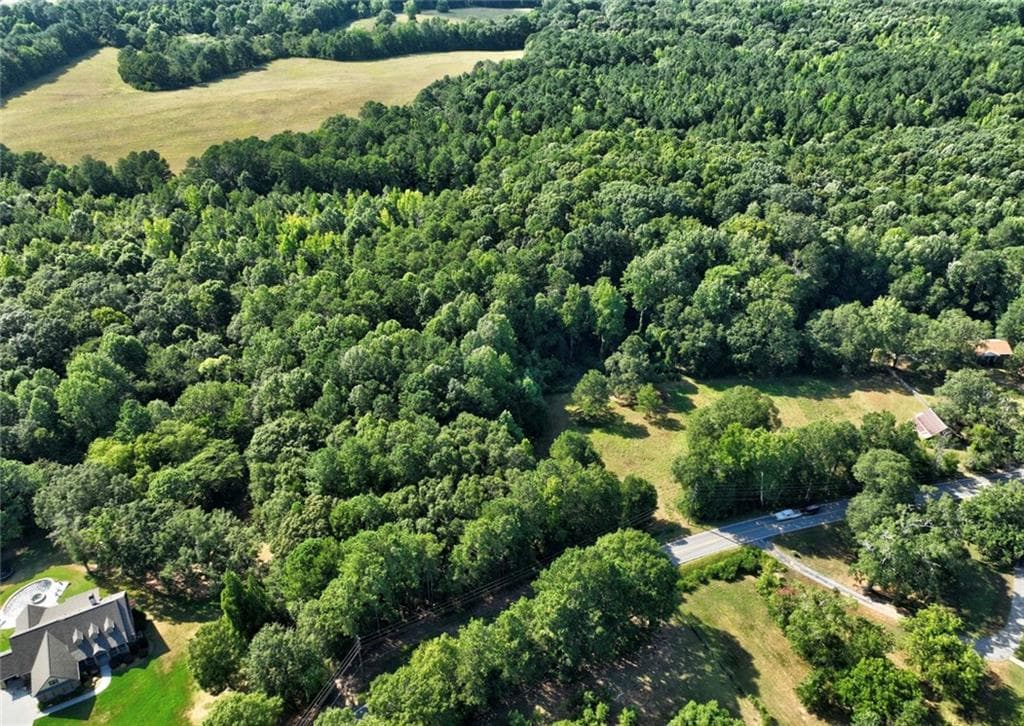 unimproved land for sale at 0 New Hope Church Road, Loganville, GA 30052 — photo 8