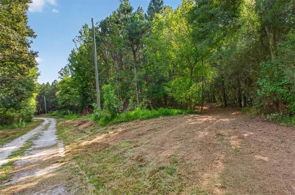 unimproved land for sale at 240 Collins Place, Waleska, GA 30183 — photo 6