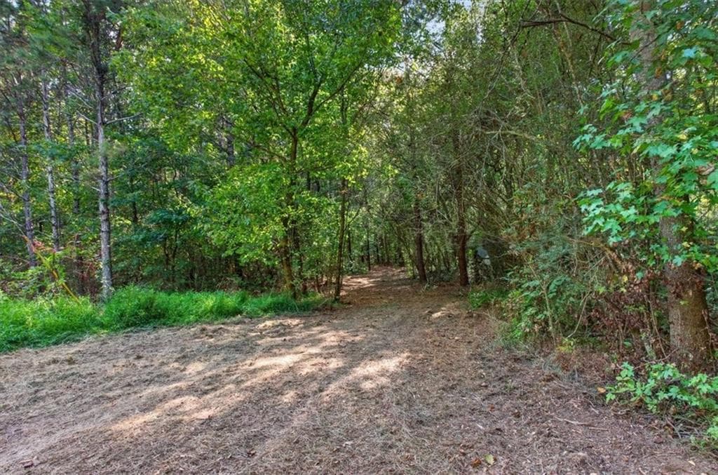 unimproved land for sale at 240 Collins Place, Waleska, GA 30183 — photo 7