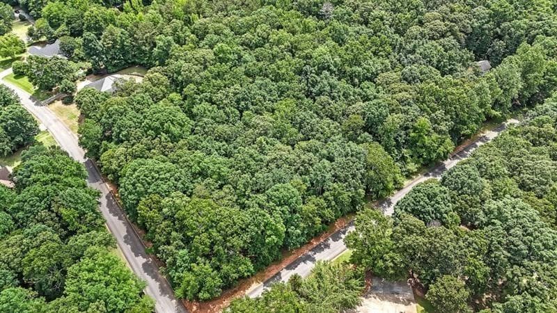 unimproved land for sale at 40 Coral Drive, Whitesburg, GA 30185 — photo 3