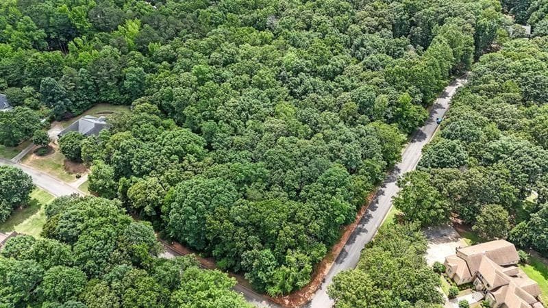 unimproved land for sale at 40 Coral Drive, Whitesburg, GA 30185 — photo 4