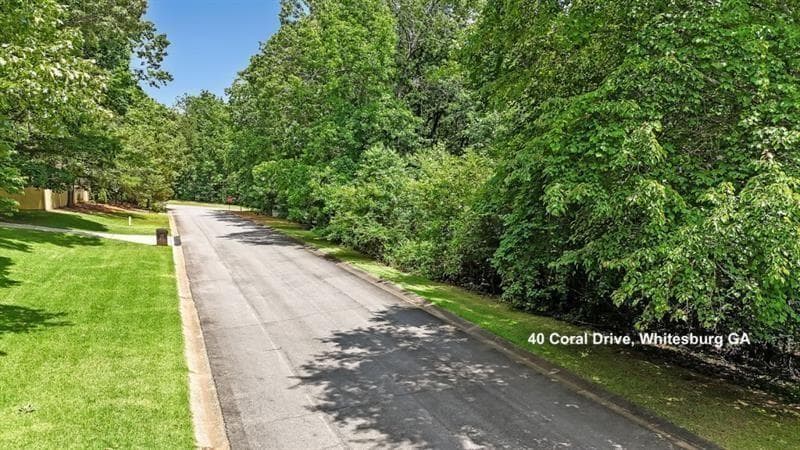 unimproved land for sale at 40 Coral Drive, Whitesburg, GA 30185 — photo 5