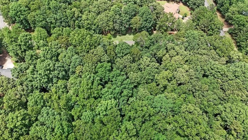 unimproved land for sale at 40 Coral Drive, Whitesburg, GA 30185 — photo 7