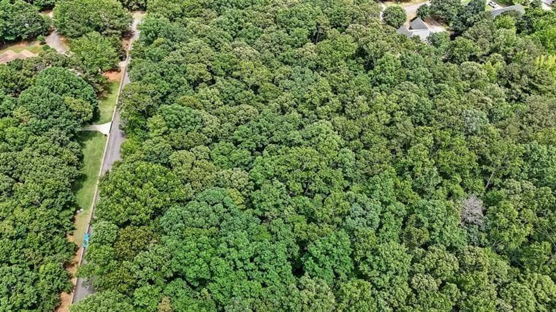 unimproved land for sale at 40 Coral Drive, Whitesburg, GA 30185 — photo 9