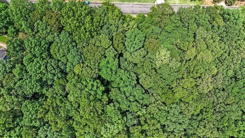 unimproved land for sale at 40 Coral Drive, Whitesburg, GA 30185 — photo 10
