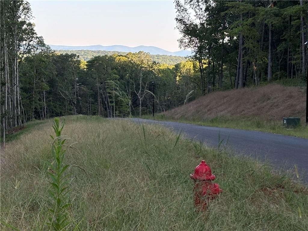 single family residence for sale at Lot 28 Norton Lane, Dahlonega, GA 30533 — photo 7