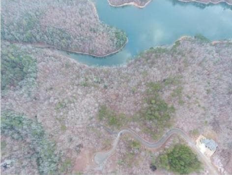 other for sale at 0 Carter View Drive, Ellijay, GA 30540 — photo 5