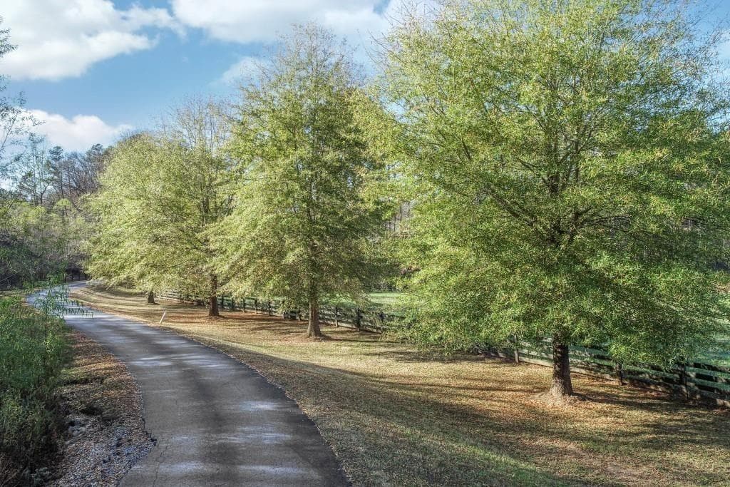 6 bedroom, 7 bathroom, 6,600 sq ft single family residence for sale at 6245 & 6303 Ben Parks Road, Murrayville, GA 30564 — photo 4