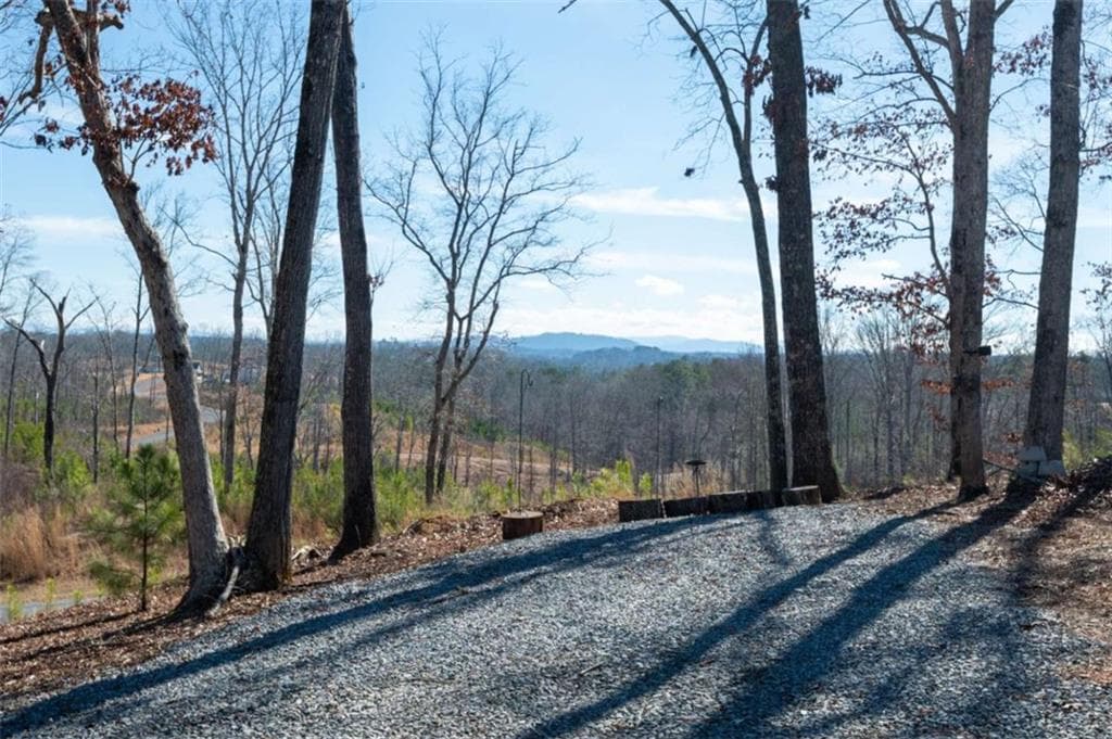 4 bedroom, 3 bathroom, 3,310 sq ft single family residence for sale at 218 Oak Wood Lane, Ellijay, GA 30540 — photo 4