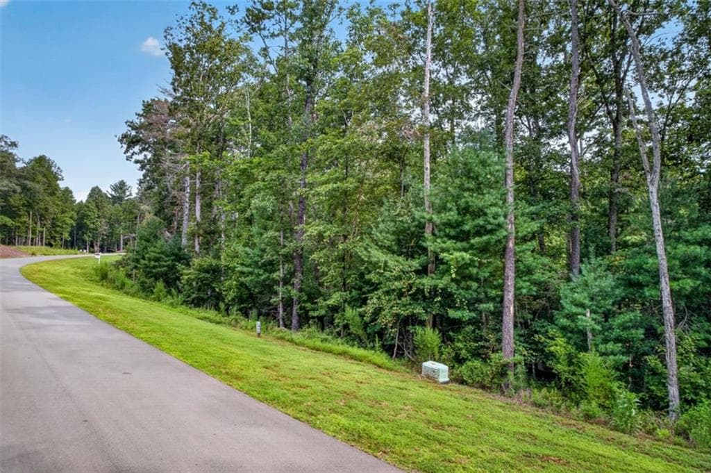 single family residence for sale at LOT 14 Clear Creek Preserve Way, Ellijay, GA 30536 — photo 7