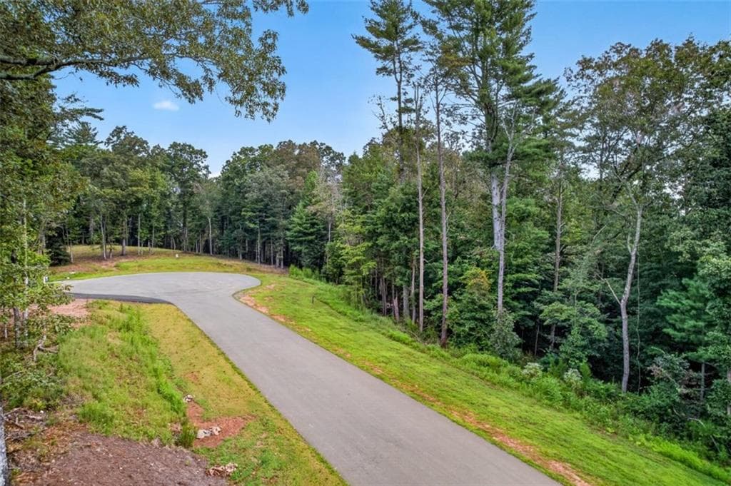single family residence for sale at LOT 14 Clear Creek Preserve Way, Ellijay, GA 30536 — photo 10
