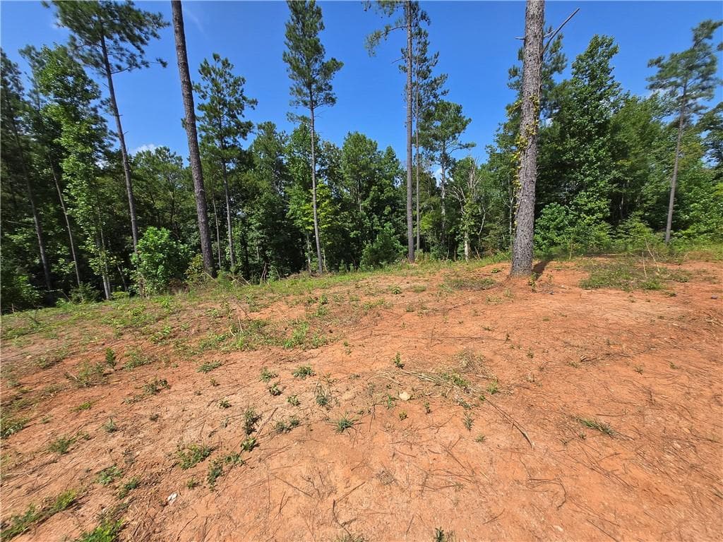 unimproved land for sale at 0 Vista Creek Drive, Talking Rock, GA 30175 — photo 8