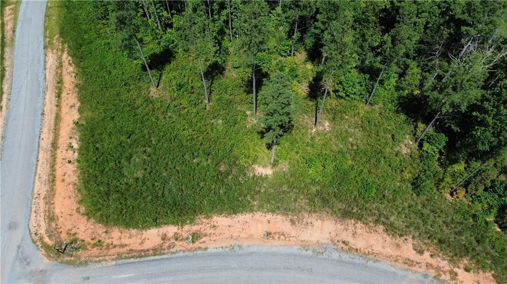 unimproved land for sale at 0 Vista Creek Drive, Talking Rock, GA 30175 — photo 9