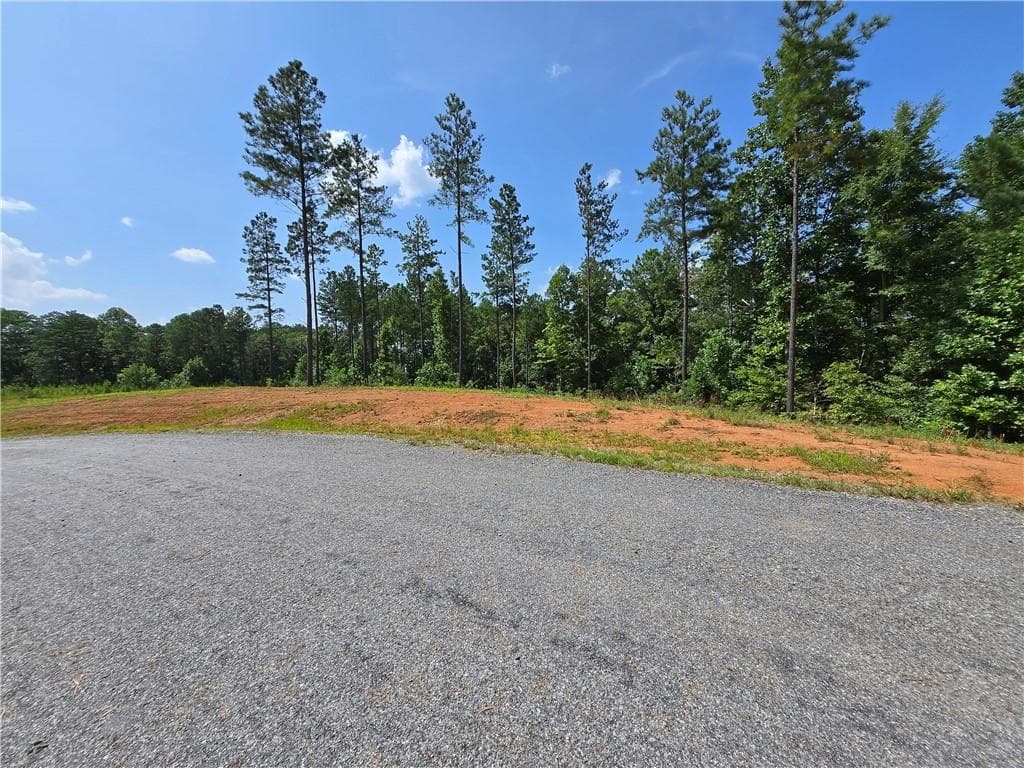 unimproved land for sale at 0 Vista Creek Drive, Talking Rock, GA 30175 — photo 10