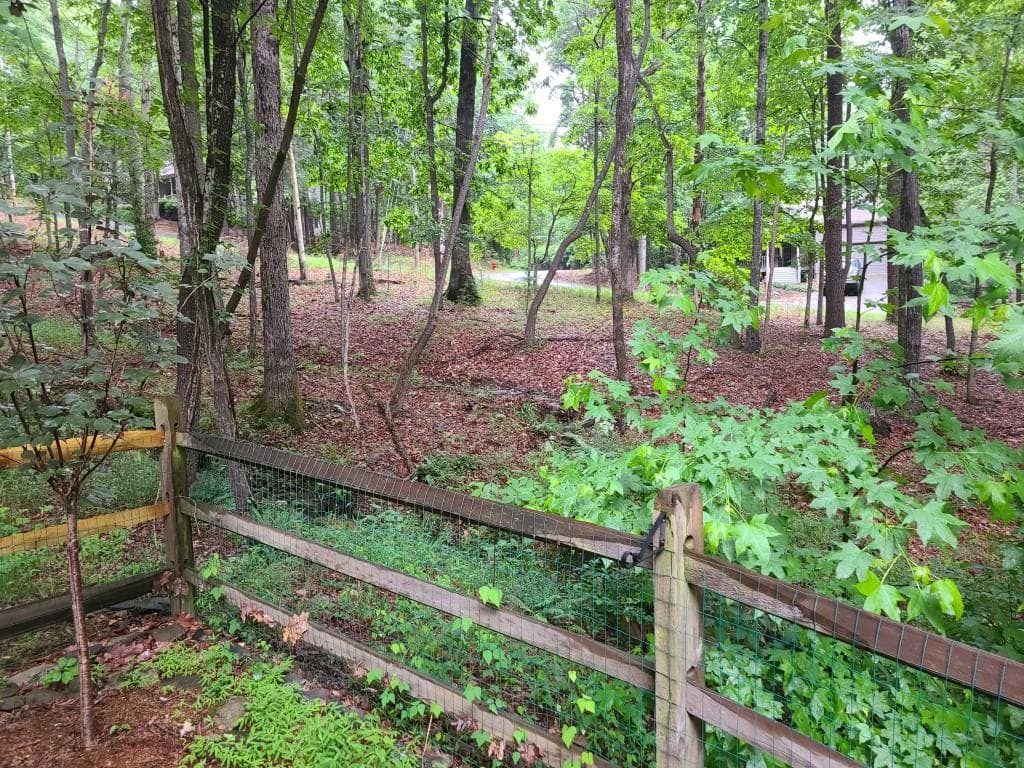 2 bedroom, 2 bathroom, 1,620 sq ft single family residence for rent at 120 Rocky Stream Court, Jasper, GA 30143 for $2,195 a month — photo 4