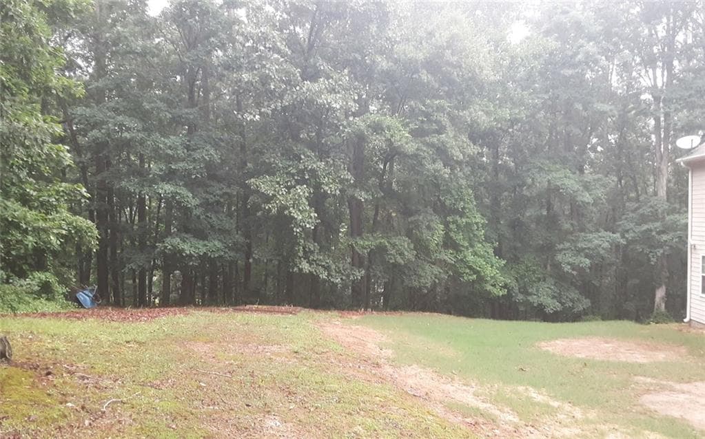 5 bedroom, 3 bathroom, 3,924 sq ft single family residence for rent at 2532 Lois Court, Loganville, GA 30052 for $2,700 a month — photo 4