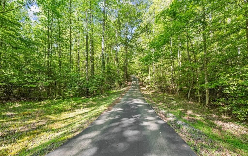 3 bedroom, 3 bathroom, 3,247 sq ft single family residence for sale at 2239 Dean Mountain Road, Cleveland, GA 30528 — photo 3