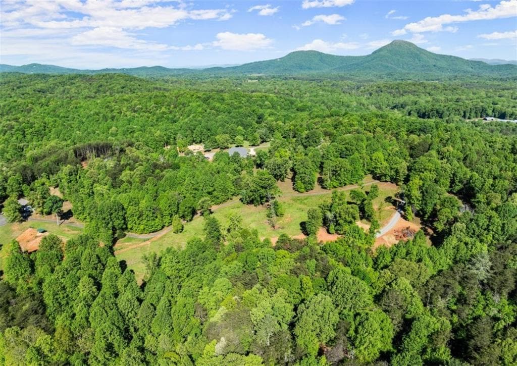 3 bedroom, 3 bathroom, 3,247 sq ft single family residence for sale at 2239 Dean Mountain Road, Cleveland, GA 30528 — photo 5