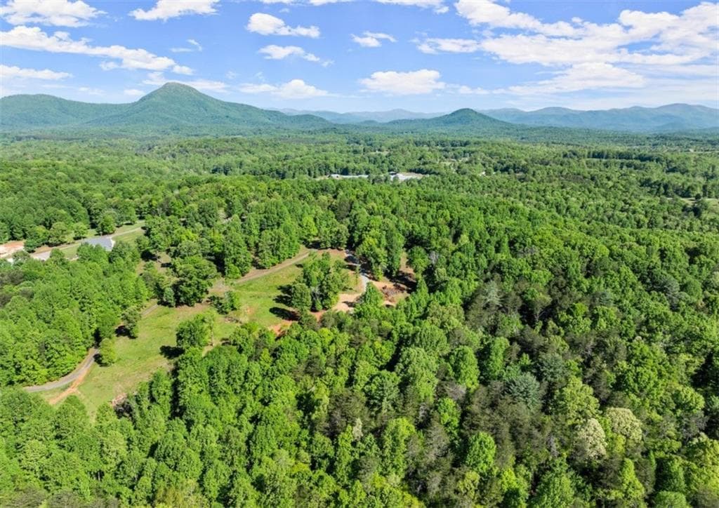 3 bedroom, 3 bathroom, 3,247 sq ft single family residence for sale at 2239 Dean Mountain Road, Cleveland, GA 30528 — photo 6
