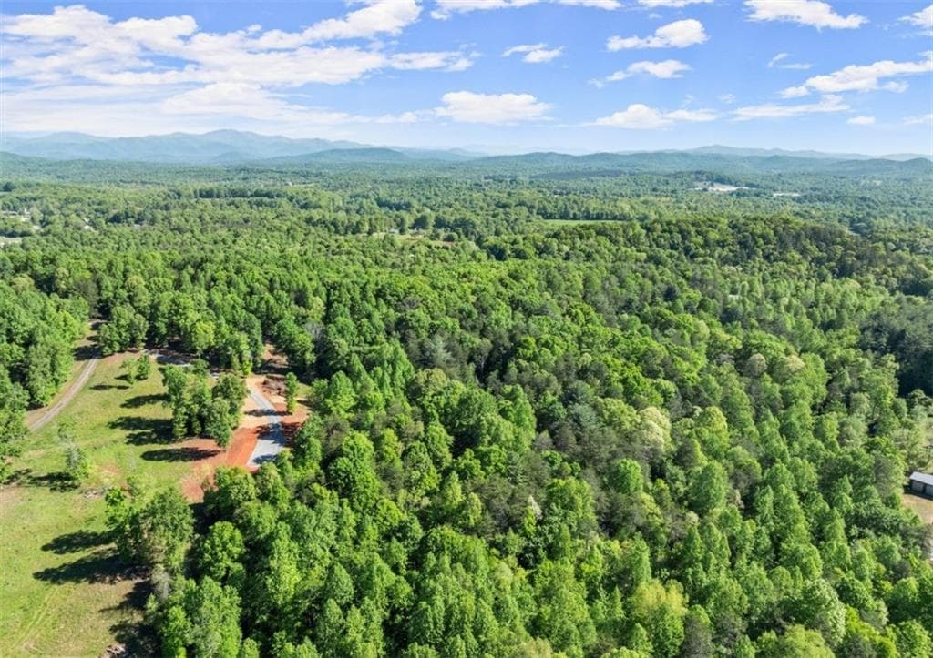 3 bedroom, 3 bathroom, 3,247 sq ft single family residence for sale at 2239 Dean Mountain Road, Cleveland, GA 30528 — photo 7