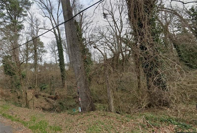 single family residence for sale at 0 Lumpkin Street, East Point, GA 30344 — photo 2