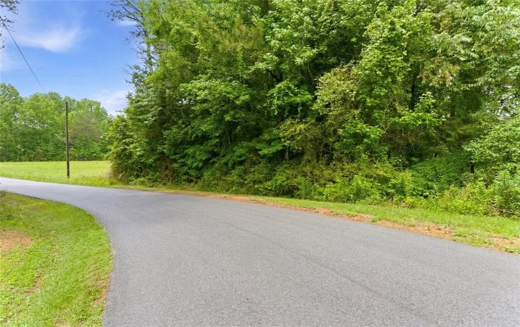 unimproved land for sale at 0 Lee Road, Cedartown, GA 30125 — photo 3