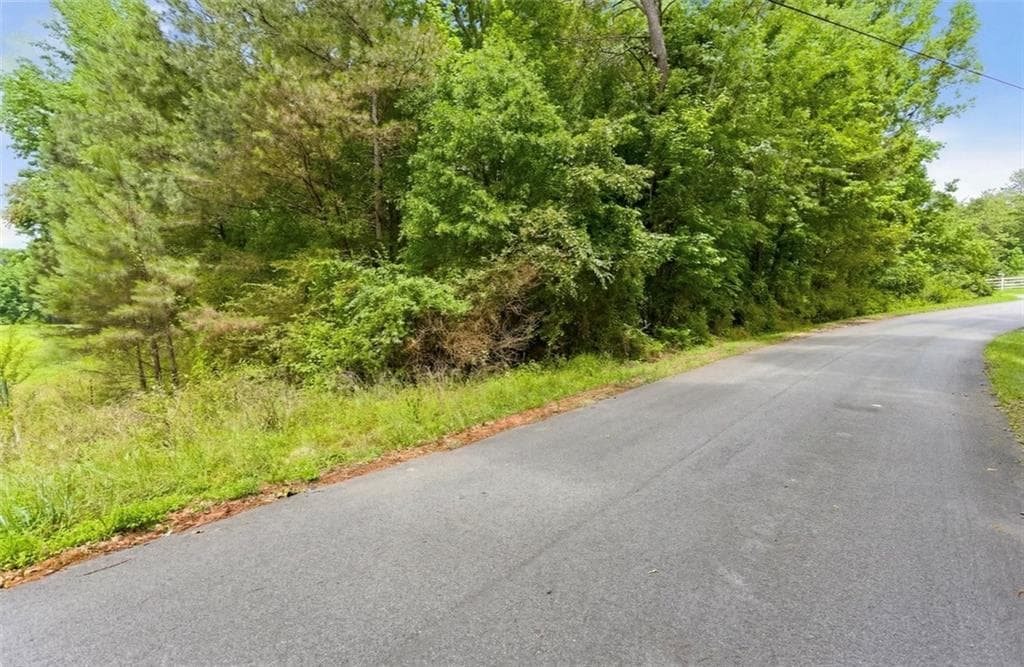 unimproved land for sale at 0 Lee Road, Cedartown, GA 30125 — photo 4