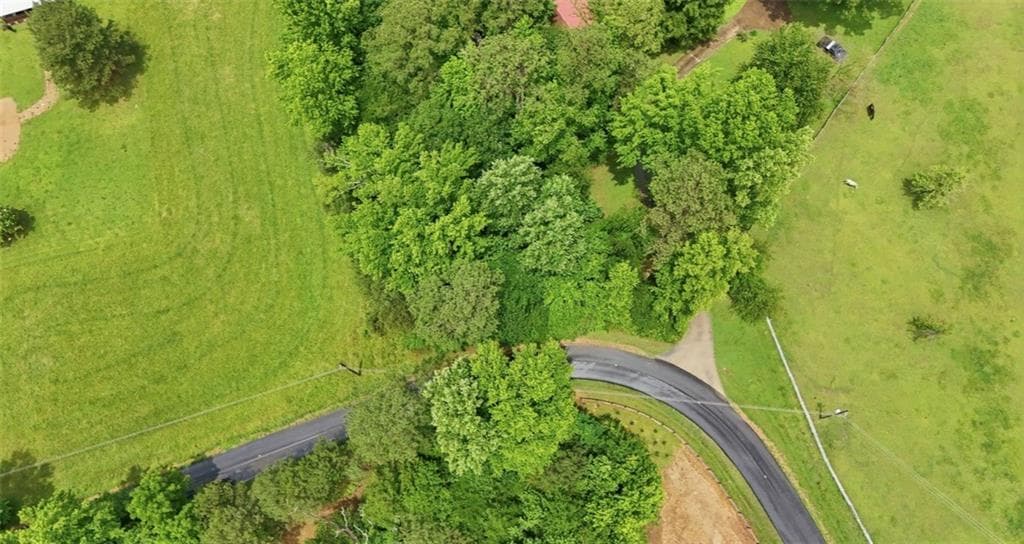 unimproved land for sale at 0 Lee Road, Cedartown, GA 30125 — photo 9