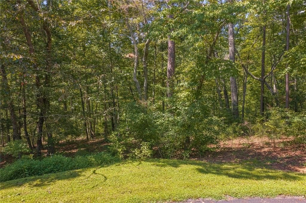 unimproved land for sale at 0 Harris Ridge Drive, Ellijay, GA 30540 — photo 3