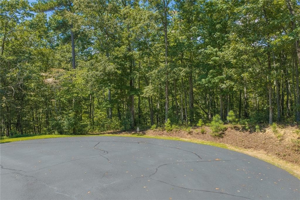 unimproved land for sale at 0 Harris Ridge Drive, Ellijay, GA 30540 — photo 4