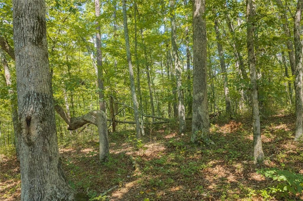 unimproved land for sale at 0 Harris Ridge Drive, Ellijay, GA 30540 — photo 5