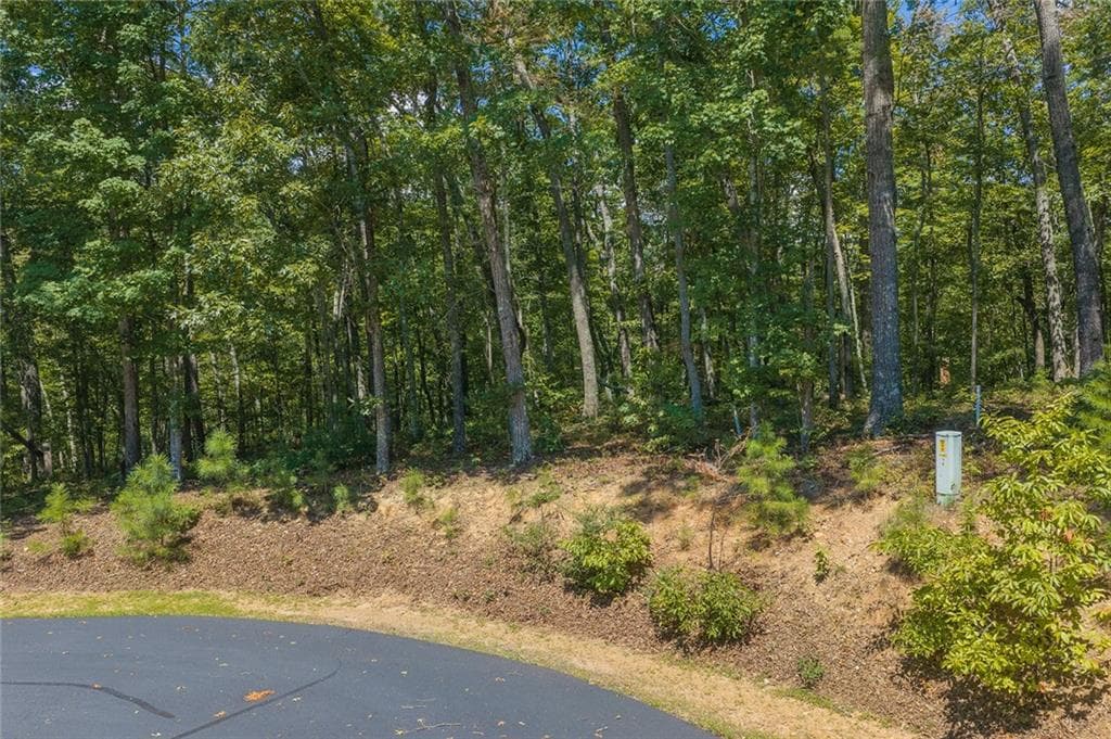 unimproved land for sale at 0 Harris Ridge Drive, Ellijay, GA 30540 — photo 6