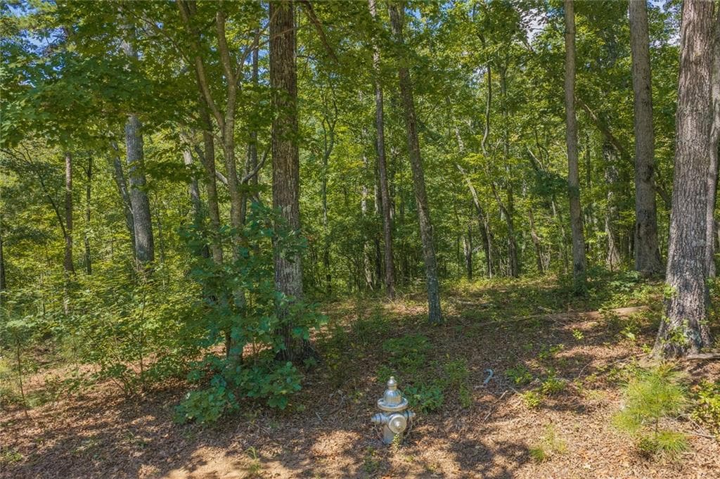 unimproved land for sale at 0 Harris Ridge Drive, Ellijay, GA 30540 — photo 7