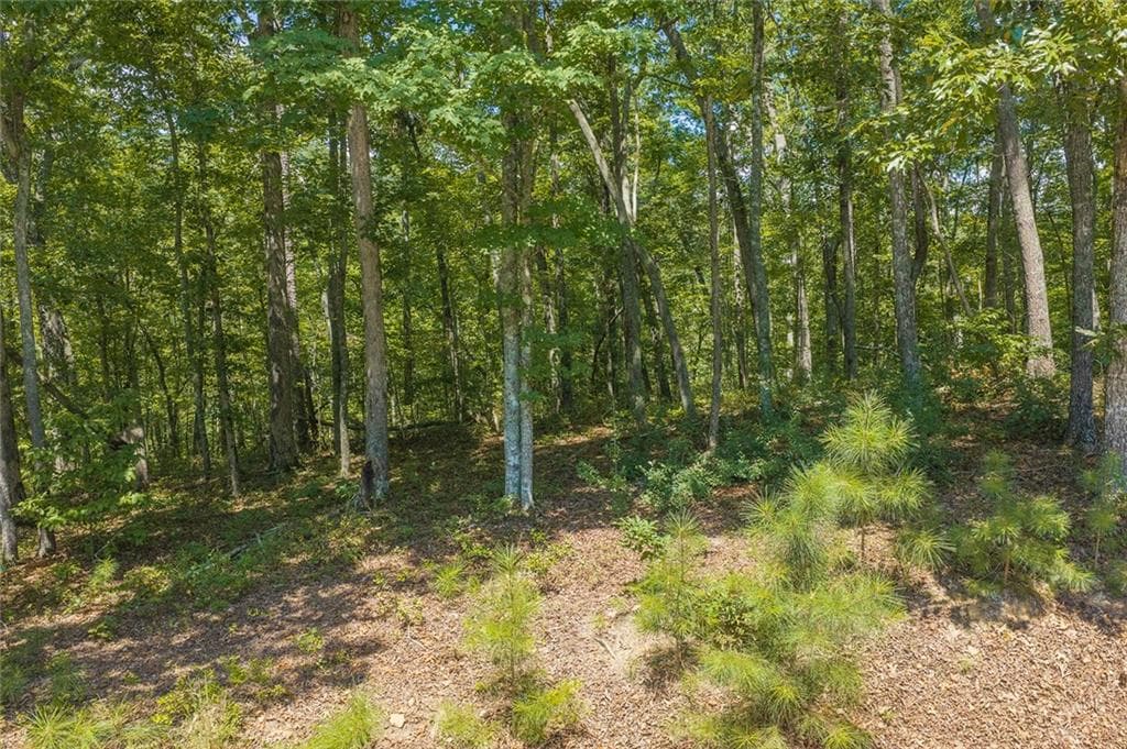unimproved land for sale at 0 Harris Ridge Drive, Ellijay, GA 30540 — photo 8