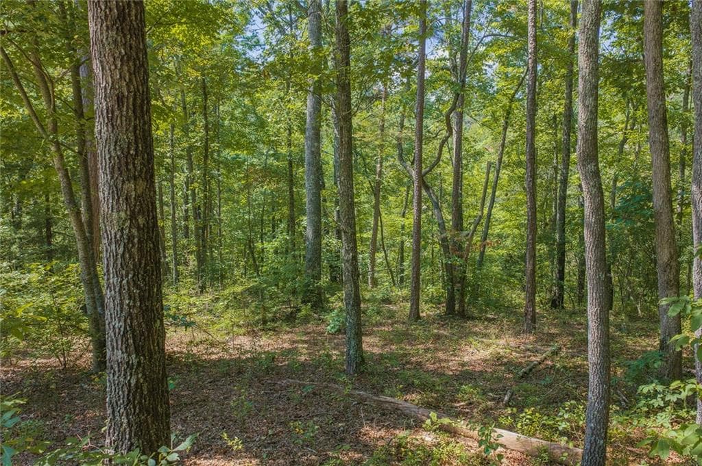 unimproved land for sale at 0 Harris Ridge Drive, Ellijay, GA 30540 — photo 9